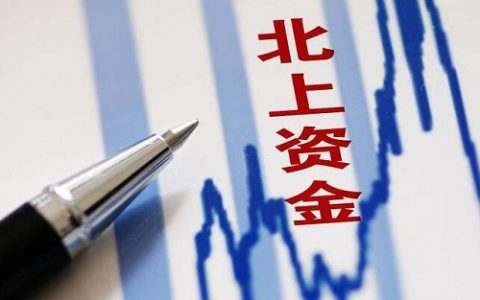 土豆期货视频直播回放